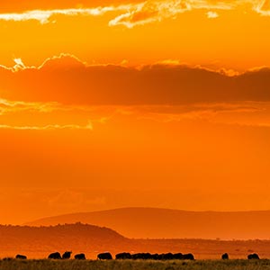 Golden Gate, Free State