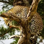 Backpacking Kruger