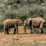 Backpacking Limpopo Province