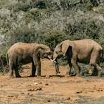 Backpacking Limpopo Province