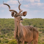 Backpacking North West Province