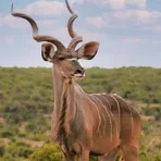 Backpacking North West Province