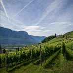 Backpacking the Cape Winelands